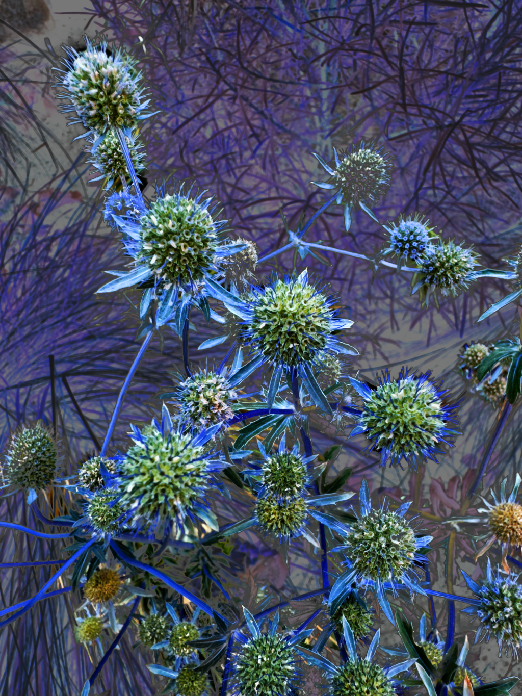 Blue Weeds