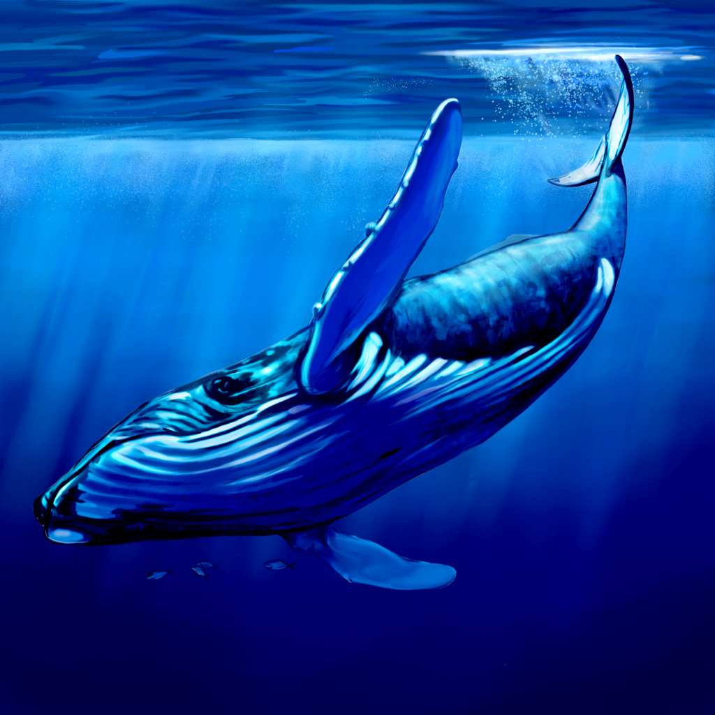 Blue Whale Two