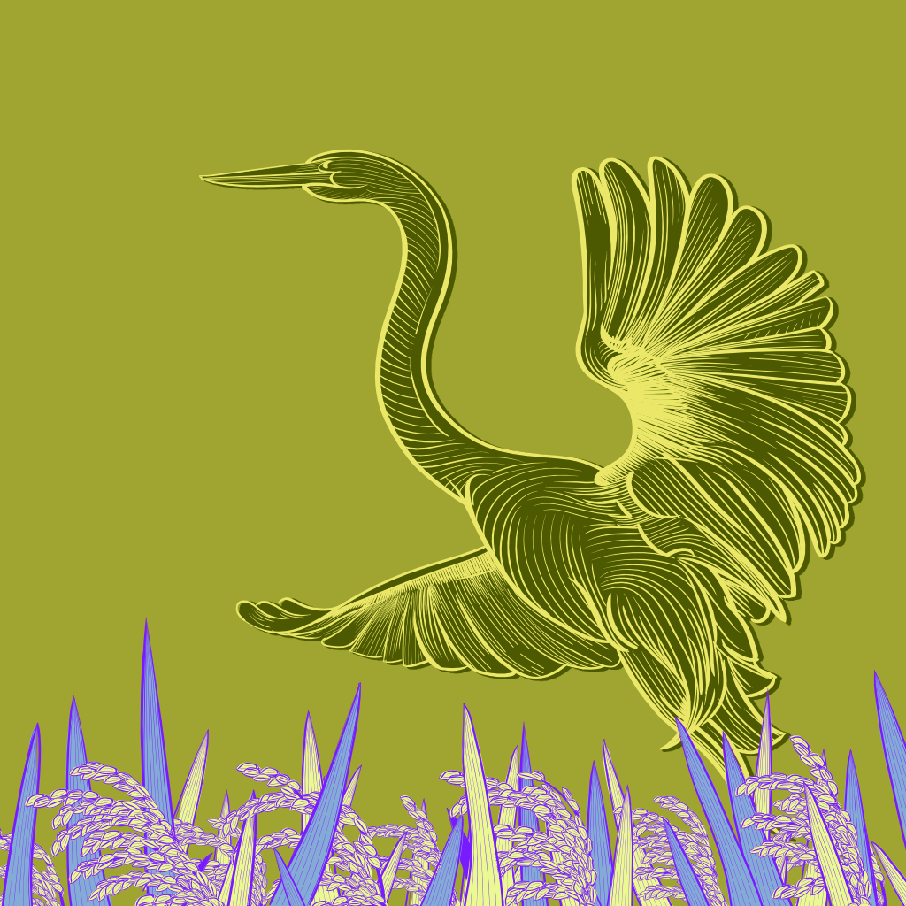 Rice Frame