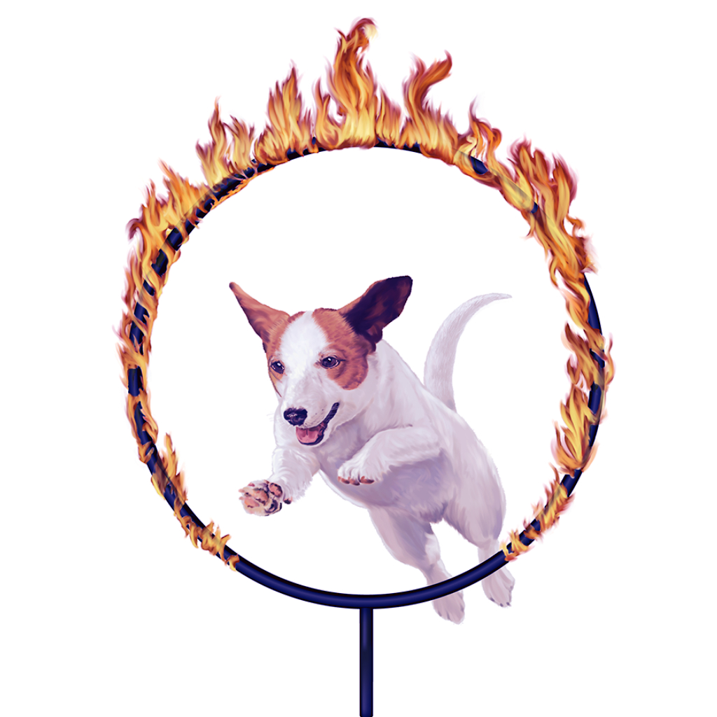 Sympatico.Dog-N-Hoop
