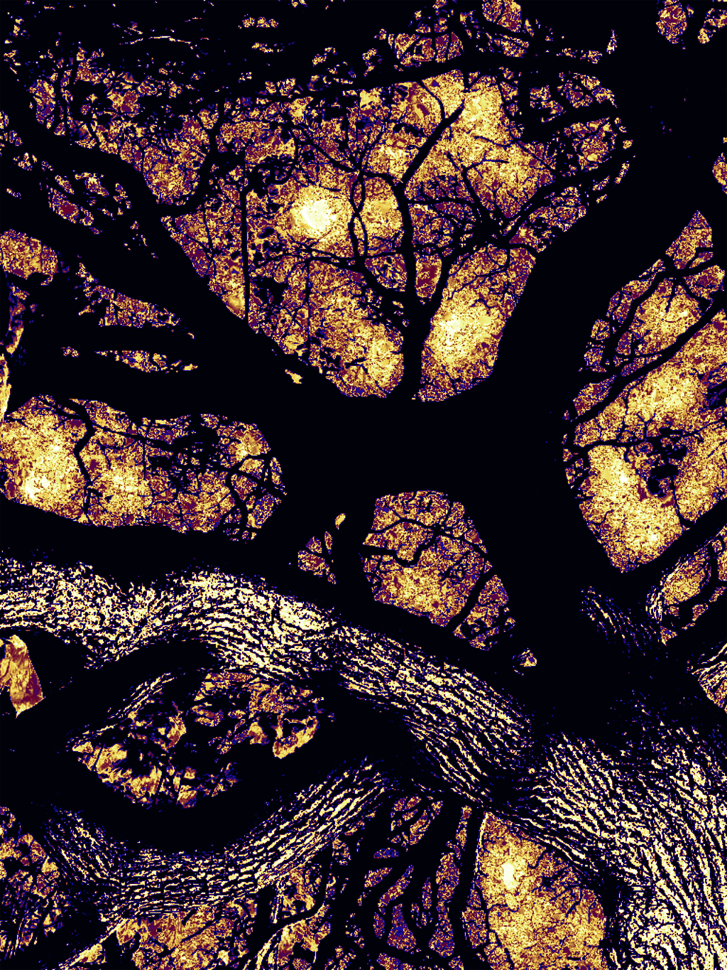 Tree Weaved